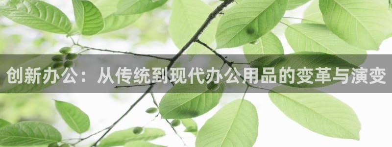 卧龙娱乐总管是谁呀