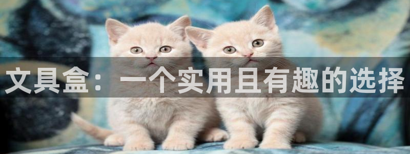 卧龙娱乐在线直播网页：文具盒：一个实用且