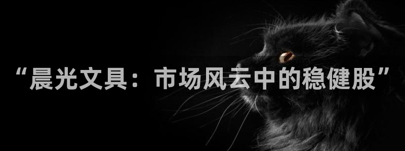 卧龙娱乐招商代理怎么样：“晨光文具：市场