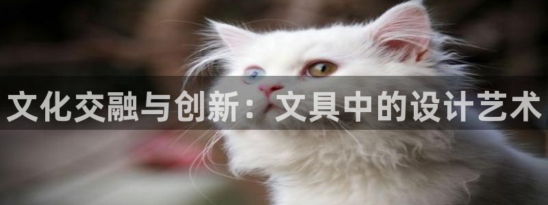 卧龙娱乐32二九01：文化交融与创新：文