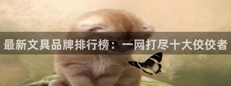 卧龙桥休闲娱乐园