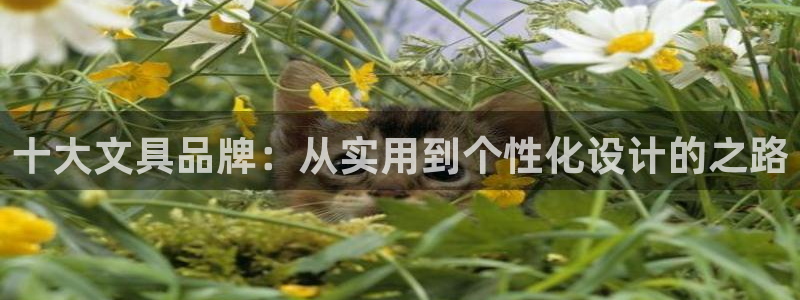 卧龙凤雏娱乐直播间