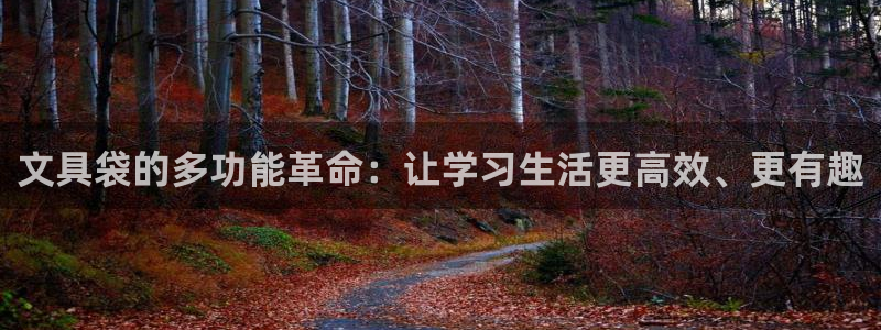 南阳卧龙娱乐会所：文具袋的多功能革命：让