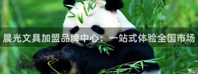 卧龙娱乐注册网址：晨光文具加盟品牌中心：