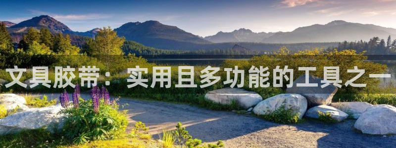 卧龙娱乐左7O667：文具胶带：实用且多