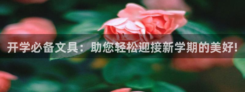 卧龙娱乐