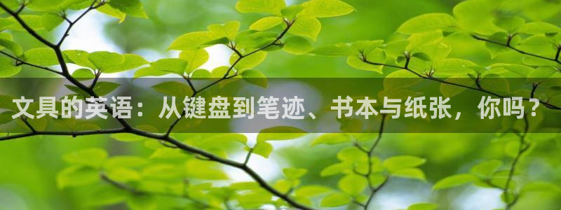 卧龙港休闲娱乐会所：文具的英语：从键盘到