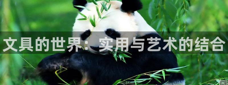 hr娱乐 卧龙主管60447