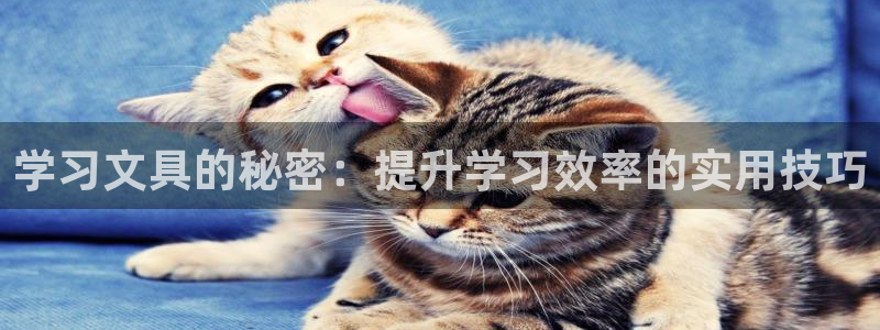 卧龙台球娱乐会所电话