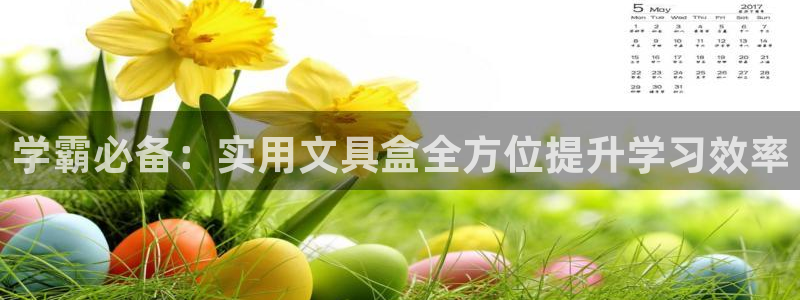 卧龙环岛儿童娱乐：学霸必备：实用文具盒全