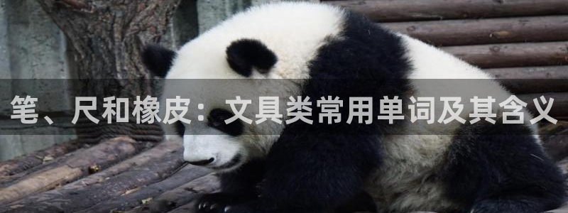 星酱娱乐卧龙：笔、尺和橡皮：文具类常用单