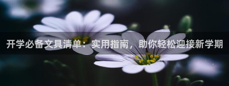 卧龙娱乐属于哪个集团：开学必备文具清单：