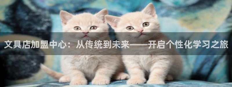 柏林娱乐- 0 7卧龙：文具店加盟中心：