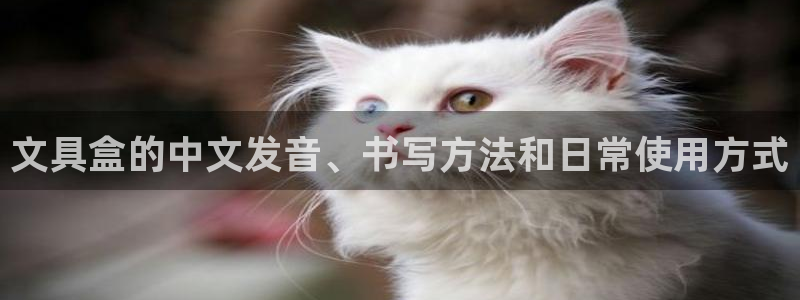 卧龙娱乐怎样注册账号啊：文具盒的中文发音