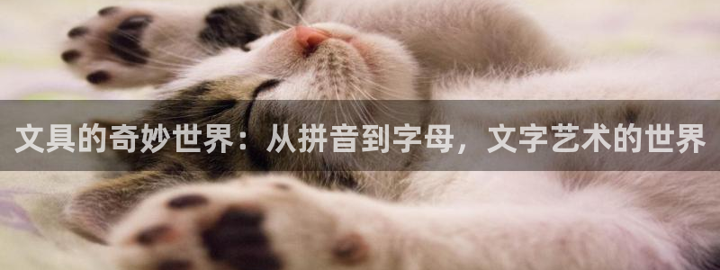 卧龙娱乐在线直播网页：文具的奇妙世界：从