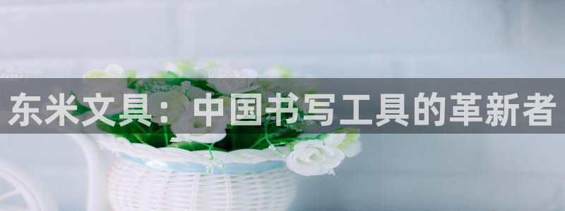 卧龙休闲娱乐优惠：东米文具：中国书写工具