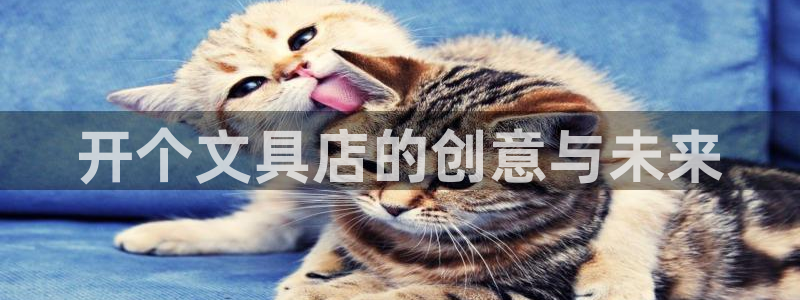 卧龙娱乐app下载安装：开个文具店的创意