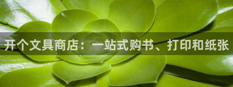 卧龙娱乐优七九九47：开个文具商店：一站