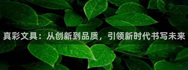 卧龙2娱乐：真彩文具：从创新到品质，引领
