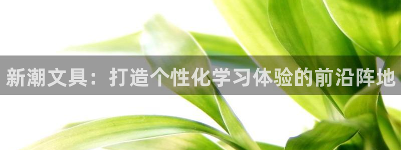 卧龙哥休闲娱乐：新潮文具：打造个性化学习