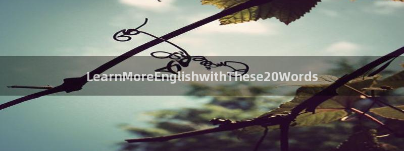 卧龙娱乐能出款吗：LearnMoreEn