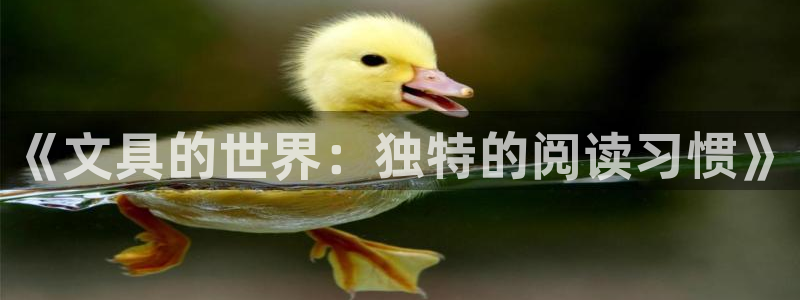 卧龙儿童娱乐设施：《文具的世界：独特的阅
