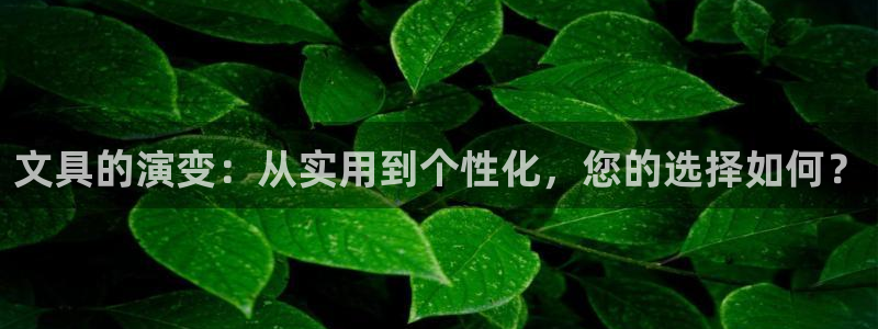 SKY娱乐 卧龙股东60447：文具的演