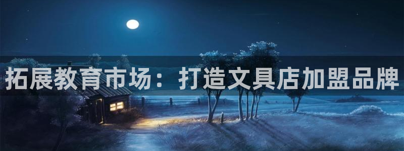 卧龙娱乐怎样注册公司：拓展教育市场：打造