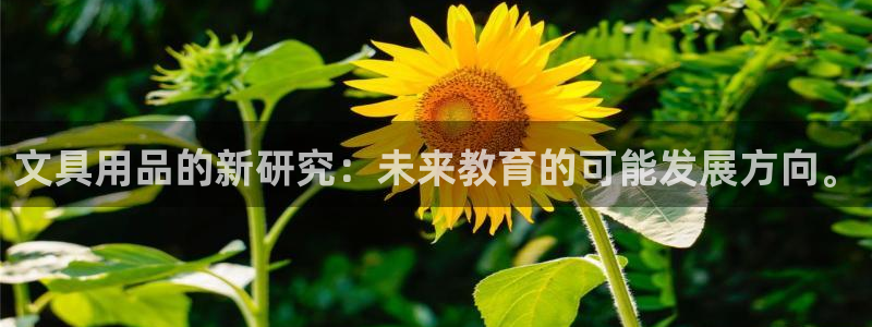 hr娱乐 卧龙主管60447：文具用品的