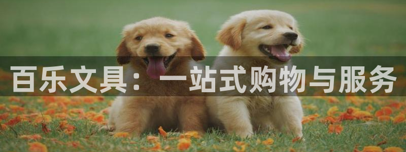 南阳卧龙区娱乐：百乐文具：一站式购物与服