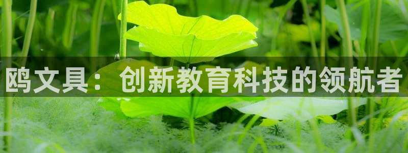 卧龙娱乐注册地址：鸥文具：创新教育科技的