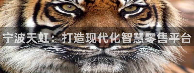 开远卧龙谷娱乐：宁波天虹：打造现代化智慧