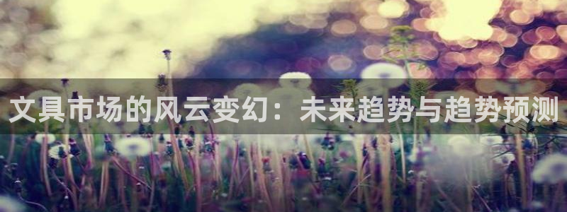卧龙娱乐怎样注册：文具市场的风云变幻：未