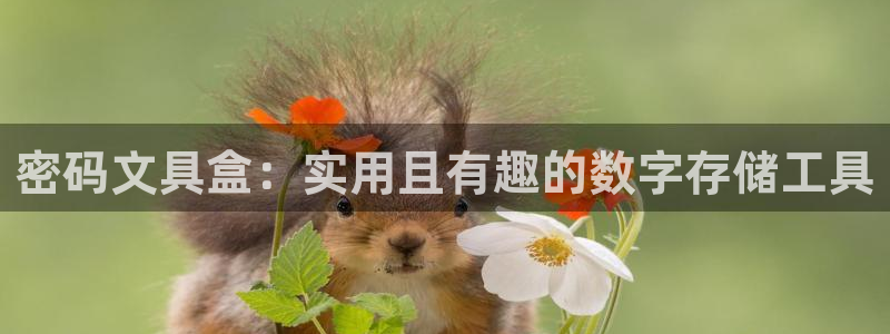 绥阳卧龙湖娱乐：密码文具盒：实用且有趣的