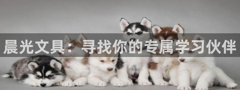 卧龙娱乐注册网址多少号：晨光文具：寻找你