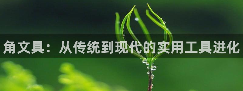 卧龙娱乐登录：角文具：从传统到现代的实用