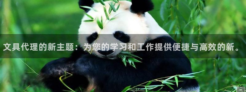 卧龙娱乐是不是骗子：文具代理的新主题：为