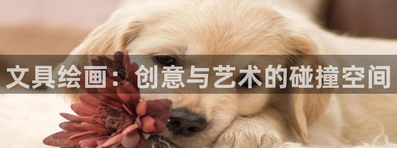 sky娱乐 扣卧龙60447：文具绘画：