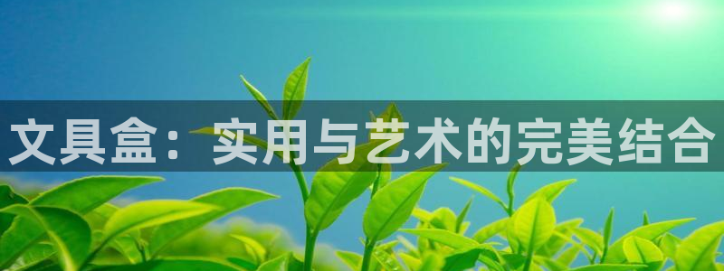 卧龙娱乐382223主管：文具盒：实用与