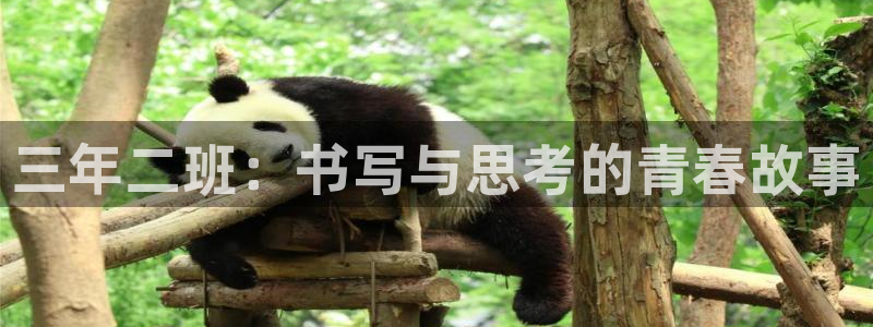 卧龙娱乐设备公司：三年二班：书写与思考的