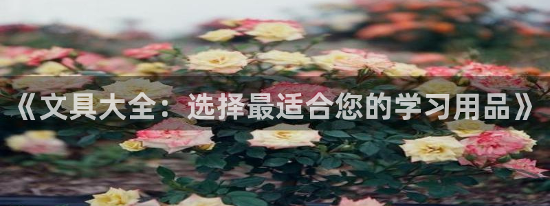 卧龙2娱乐雀711112：《文具大全：选