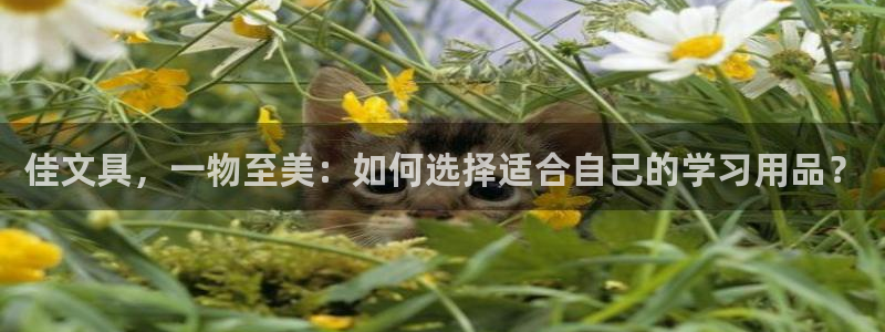 sky娱乐  0 47卧龙：佳文具，一物