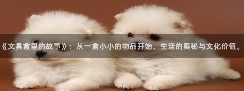 卧龙名都娱乐会所：《文具盒里的故事》：从