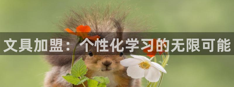 卧龙天尊国际娱乐会所：文具加盟：个性化学