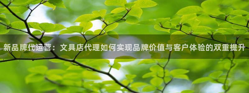 卧龙娱乐396667：新品牌代运营：文具