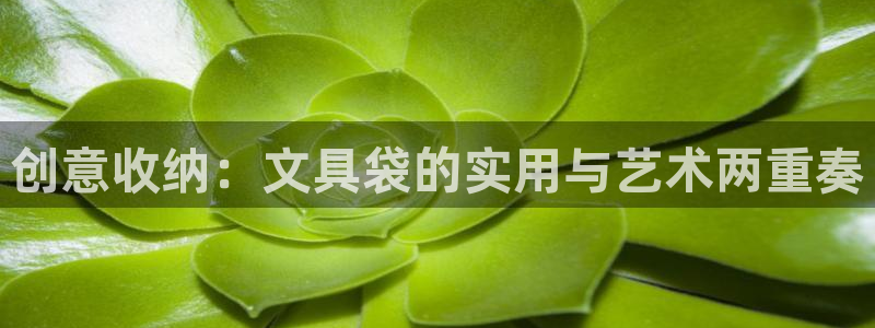 卧龙娱乐app下载：创意收纳：文具袋的实