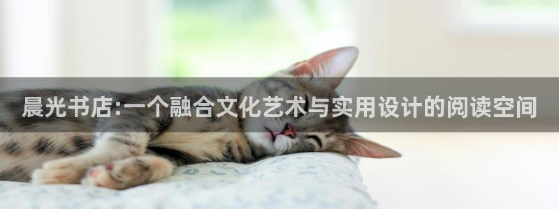 卧龙2娱乐登录：晨光书店:一个融合文化艺