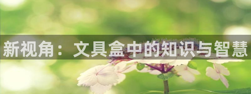 卧龙区娱乐：新视角：文具盒中的知识与智慧