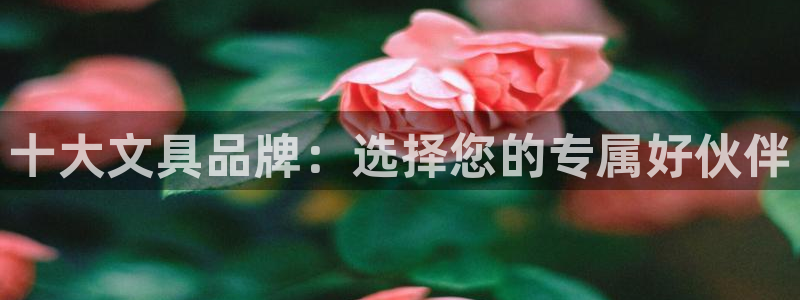 卧龙娱乐app下载：十大文具品牌：选择您