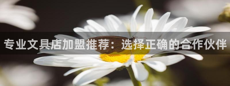 卧龙娱乐属于什么公司：专业文具店加盟推荐